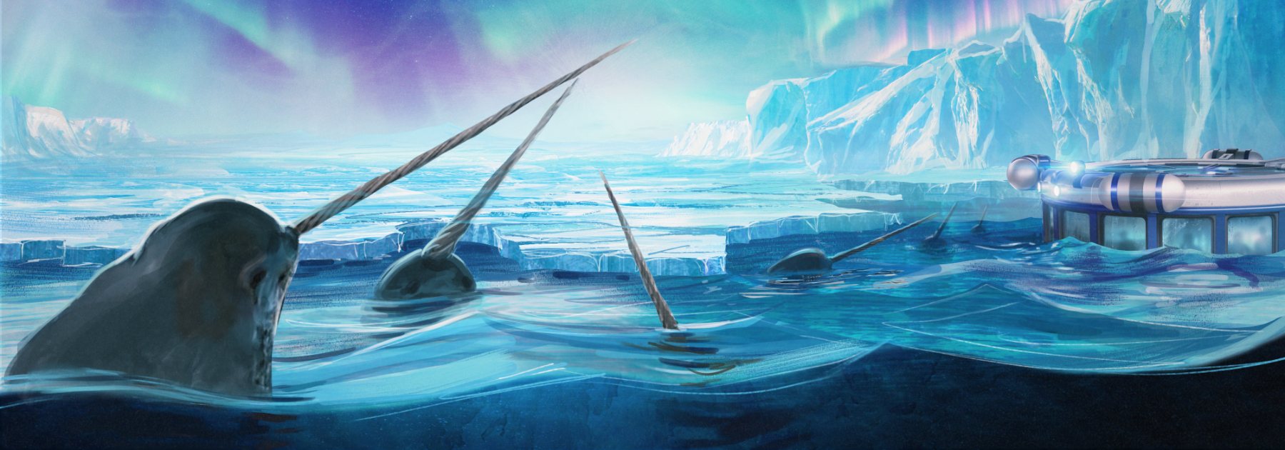 Narwhals surfacing beside the submersible under the aurora