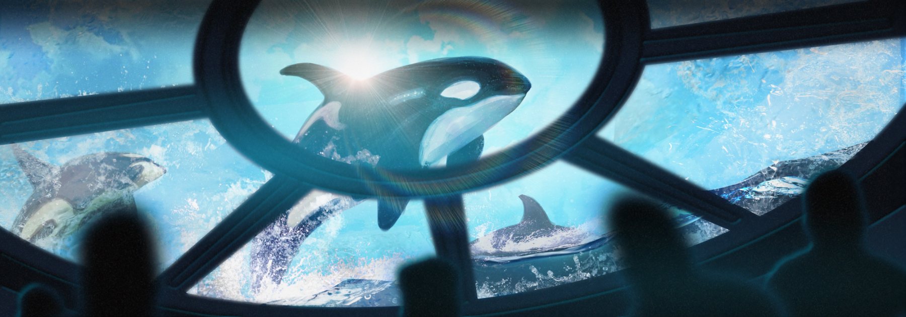 Orcas breaching, seen through the submersible dome